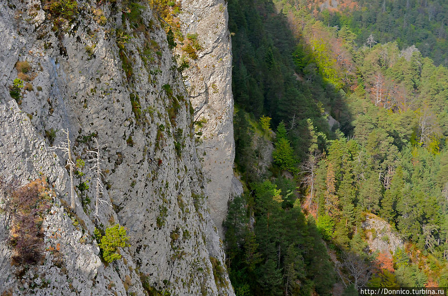 Вверх по каменной вилке 1 — Педрафорка Сальдес, Испания
