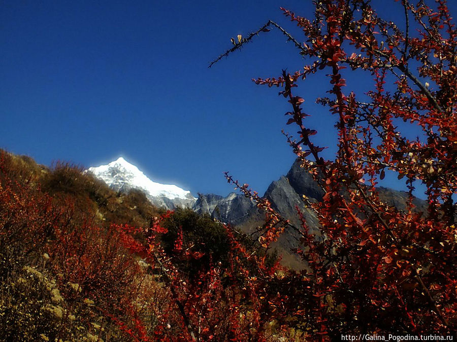 показалась Чо Ойю! показалась Чо Ойю!