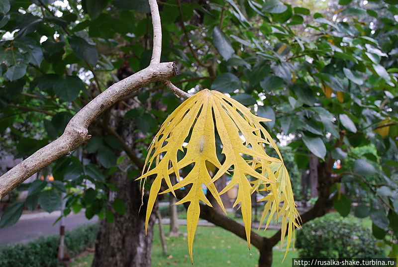 Давайте разгадаем, что это обозначает? Хошимин, Вьетнам Давайте разгадаем, что это обозначает? Хошимин, Вьетнам