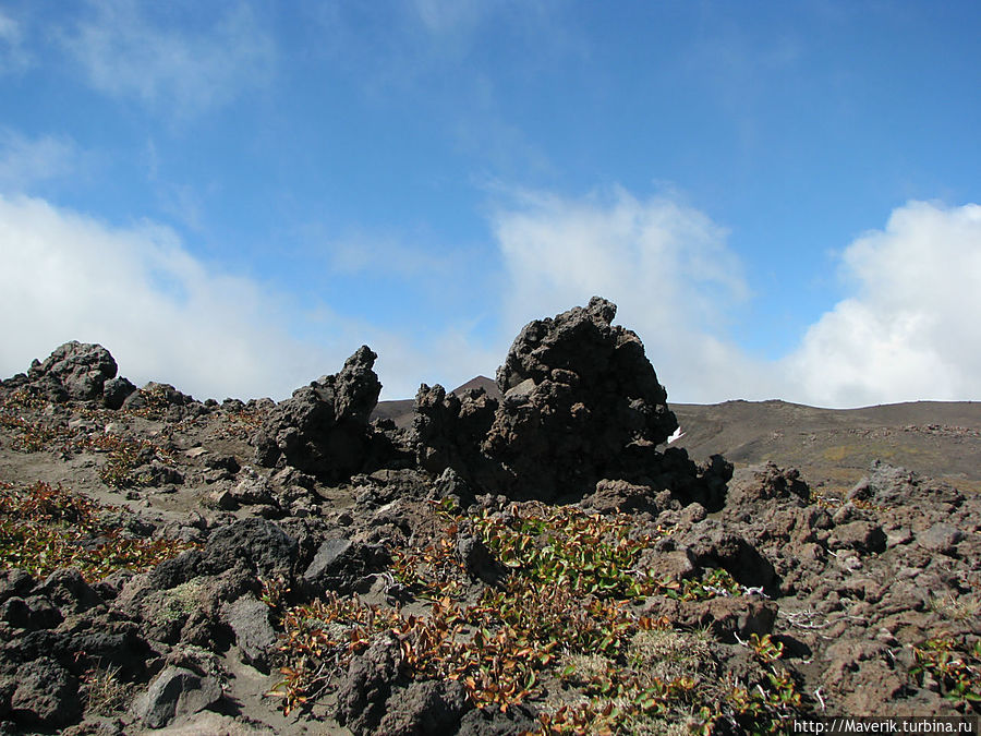 Камчатка. Восхождение на вулкан Горелая Сопка Камчатский край, Россия Камчатка. Восхождение на вулкан Горелая Сопка Камчатский край, Россия