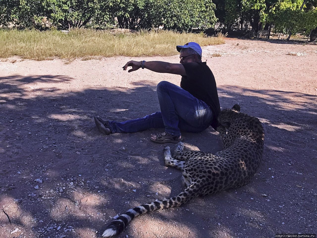 Ожитотонгве (ферма гепардов) Каманжаб, Намибия Ожитотонгве (ферма гепардов) Каманжаб, Намибия