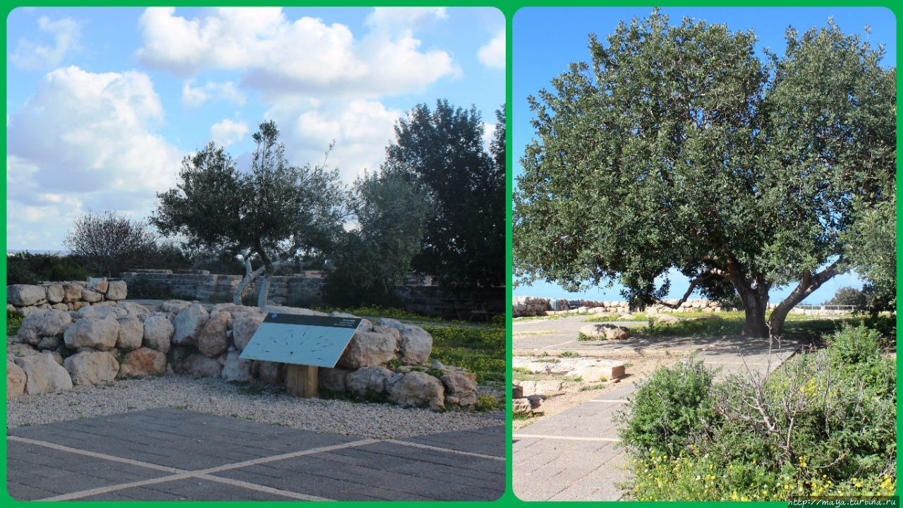 Рамат-а-Надив Зихрон-Яаков, Израиль