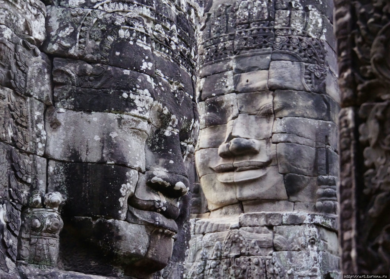 живут своей жизнью,находясь в полудрёме, эти загадочные исполины. Ангкор (столица государства кхмеров), Камбоджа