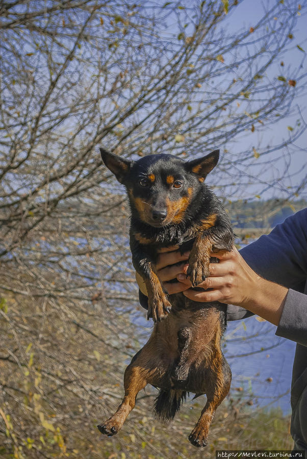 Озеро Слокас Кемери, Латвия Озеро Слокас Кемери, Латвия