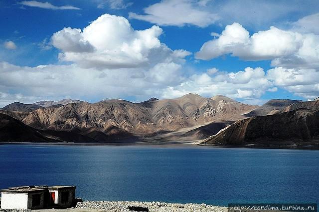 7-Заманалье. Озеро Пангонг Штат Джамму-и-Кашмир, Индия
