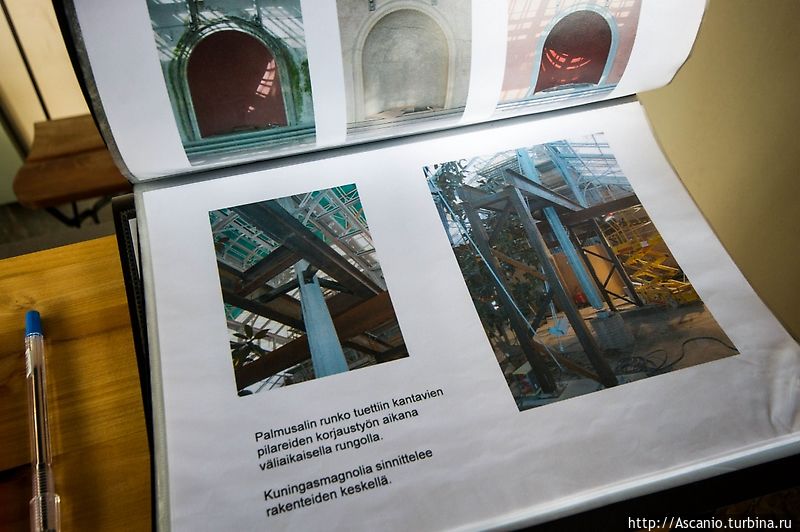 Таким сад был до реконструкции Таким сад был до реконструкции