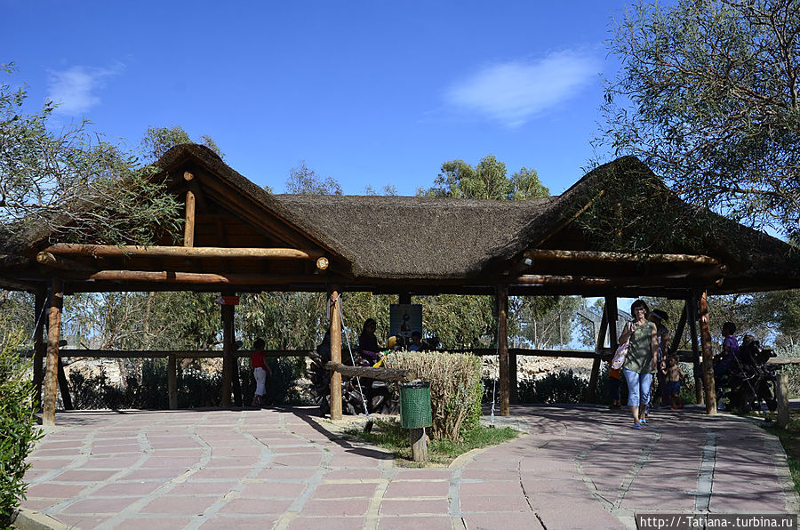 Места для отдыха посетителей (тенёк и скамеечки). Места для отдыха посетителей (тенёк и скамеечки).