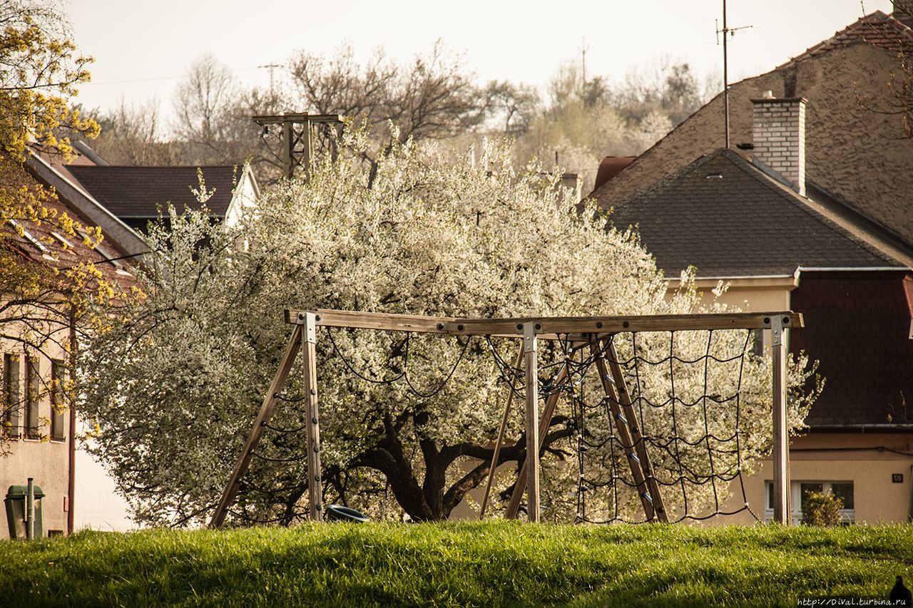 Солнца теплая купель — апрель Теплице, Чехия Солнца теплая купель — апрель Теплице, Чехия