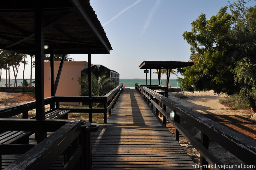 За парком выход на огромный пляж. Тут есть все: прокат лежаков и зонтиков, раздевалки и душевые, волейбольная площадка и прочие прелести пляжного отдыха. Дубай, ОАЭ