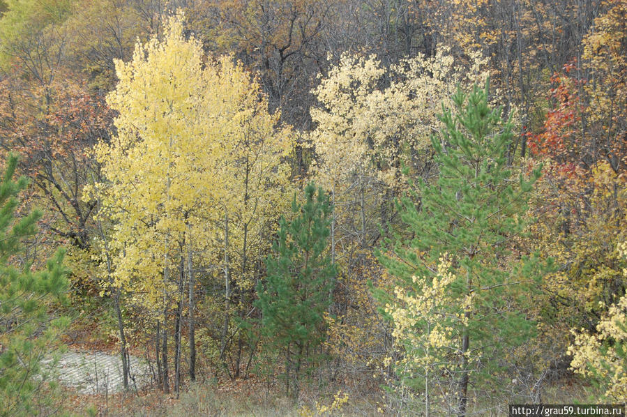 Черемшаны. Сказка осеннего леса в красках Черемшаны, Россия