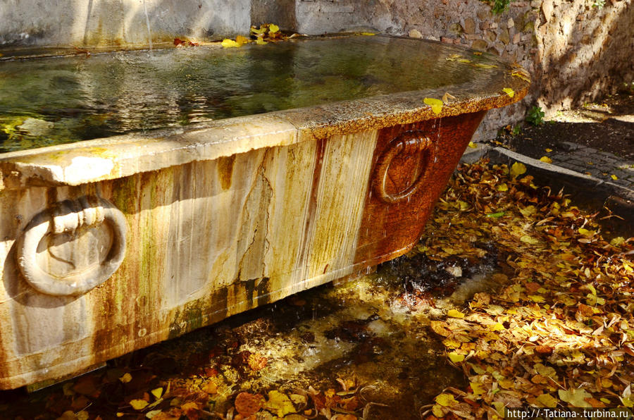 Мы в этой осени замешаны
На вздоре.
Но в эту осень, ради Бога,
Отпустите! Рим, Италия Мы в этой осени замешаны
На вздоре.
Но в эту осень, ради Бога,
Отпустите! Рим, Италия