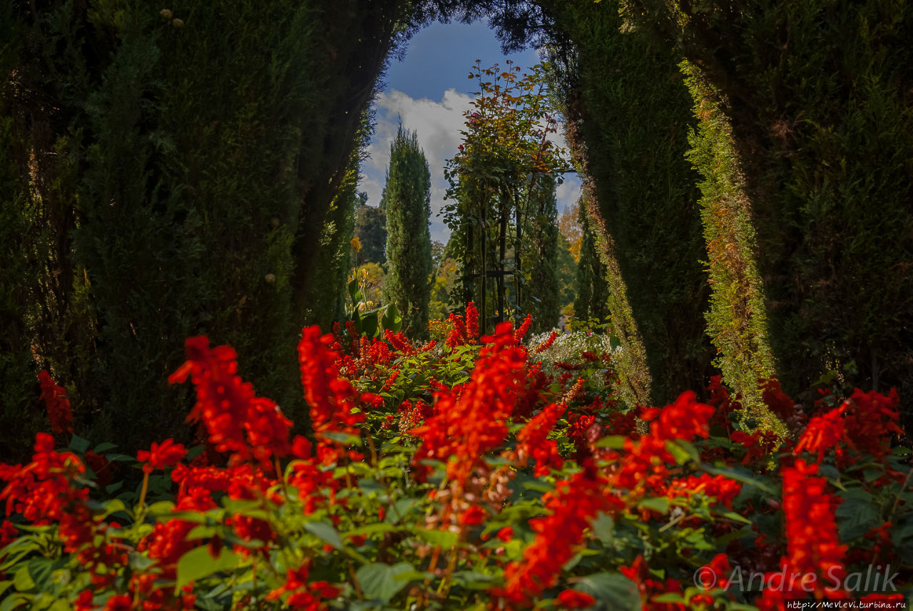 Прогулка в саду Хенералифе Альхамбра, Испания