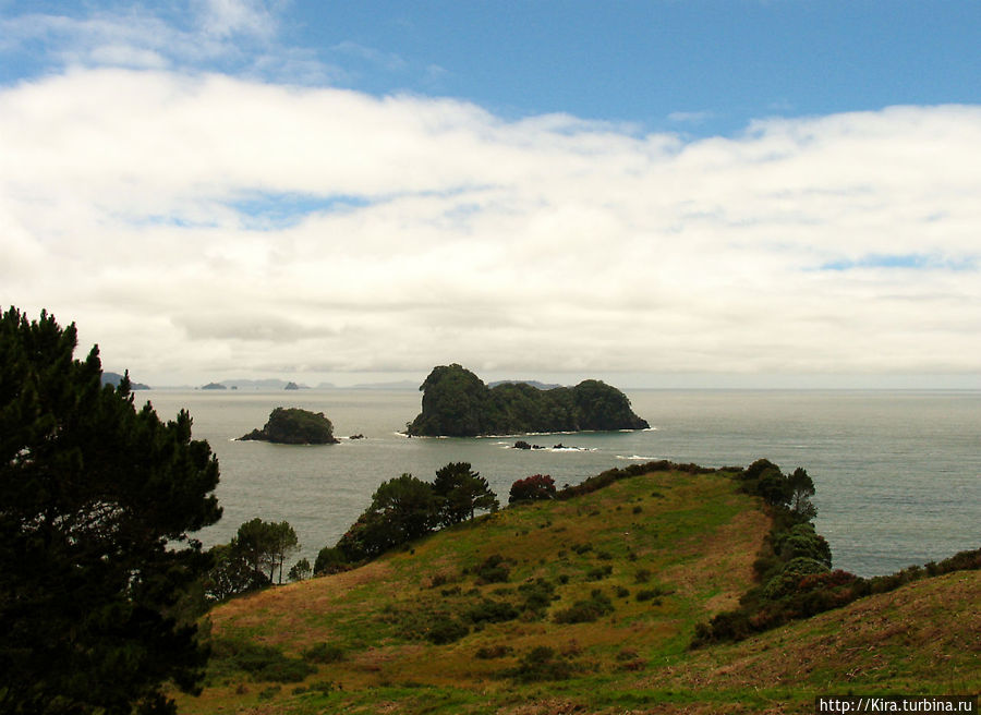 Cathedral Cove Walk Cathedral Cove Walk