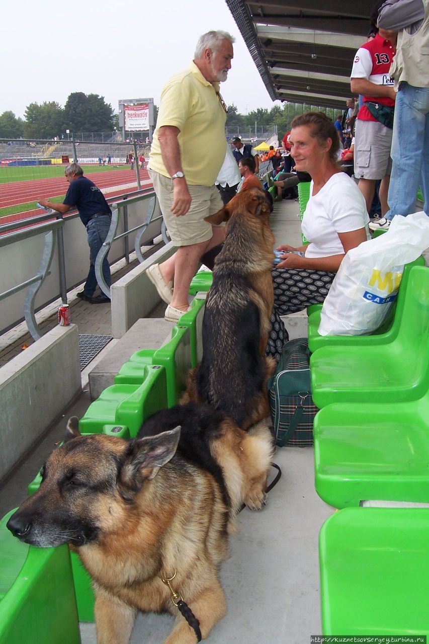 Снова Ульм, снова Зигер! Ульм, Германия Снова Ульм, снова Зигер! Ульм, Германия
