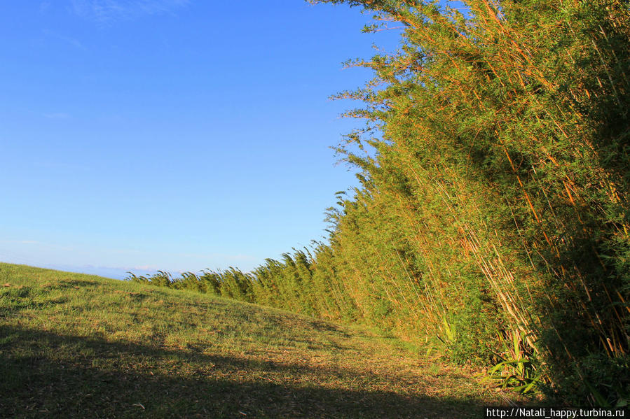 Зеленые просторы Реюнион Национальный Парк, Реюньон