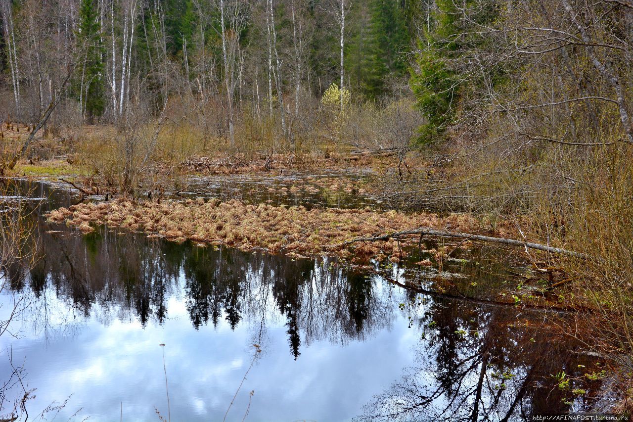Исток реки Волги Исток Волги, Россия Исток реки Волги Исток Волги, Россия