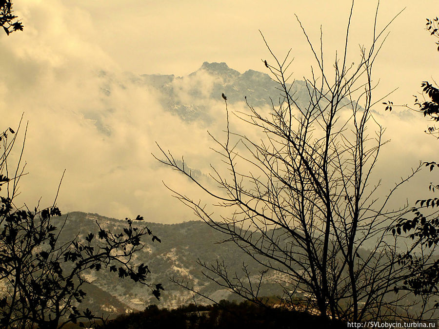 Вид с горы Кок-Тобе Вид с горы Кок-Тобе