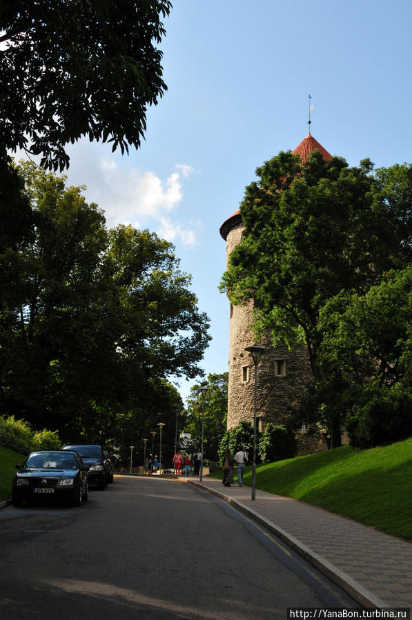 Башня Кик ин де Кёк. Я даже название это запомнила )) Таллин, Эстония