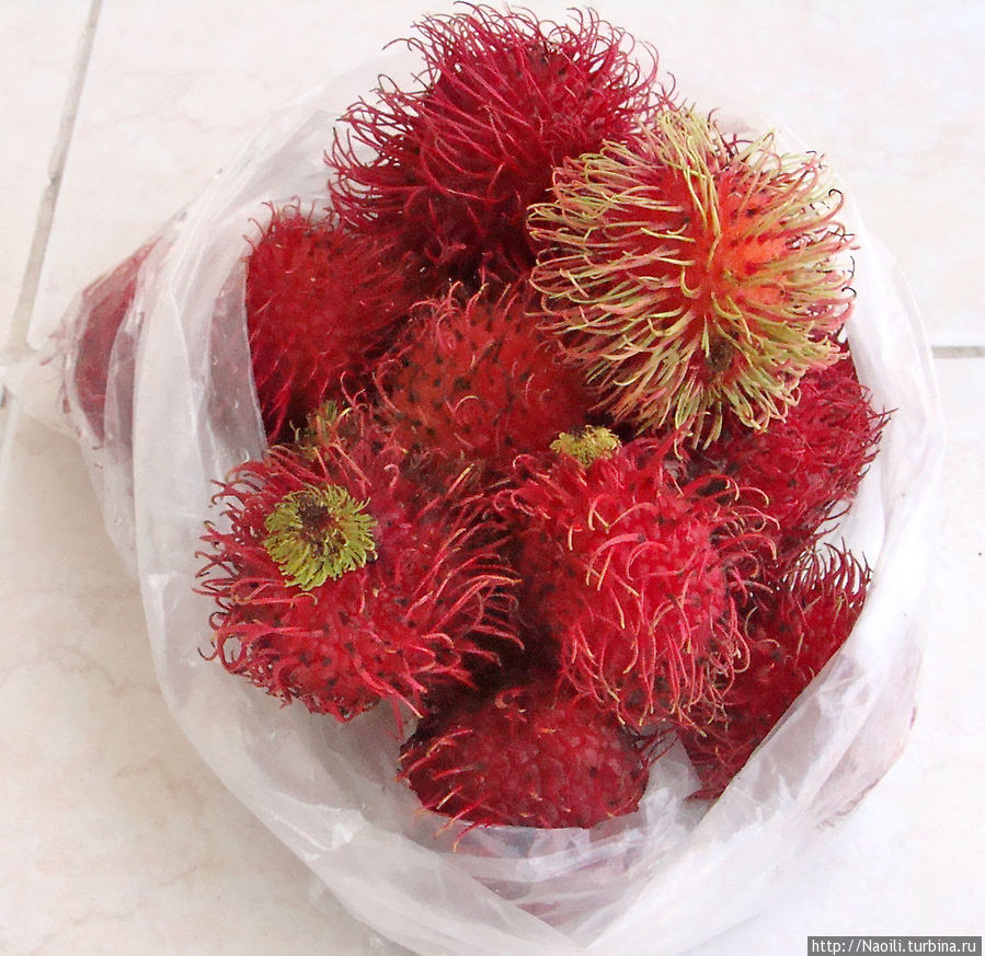 А это фрукт в Чьяпасе называют рамбутан, еще я его знаю как личи. В городе рамбутан продают дешево 20 песо за килограмм. Тустла-Гутьеррес, Мексика