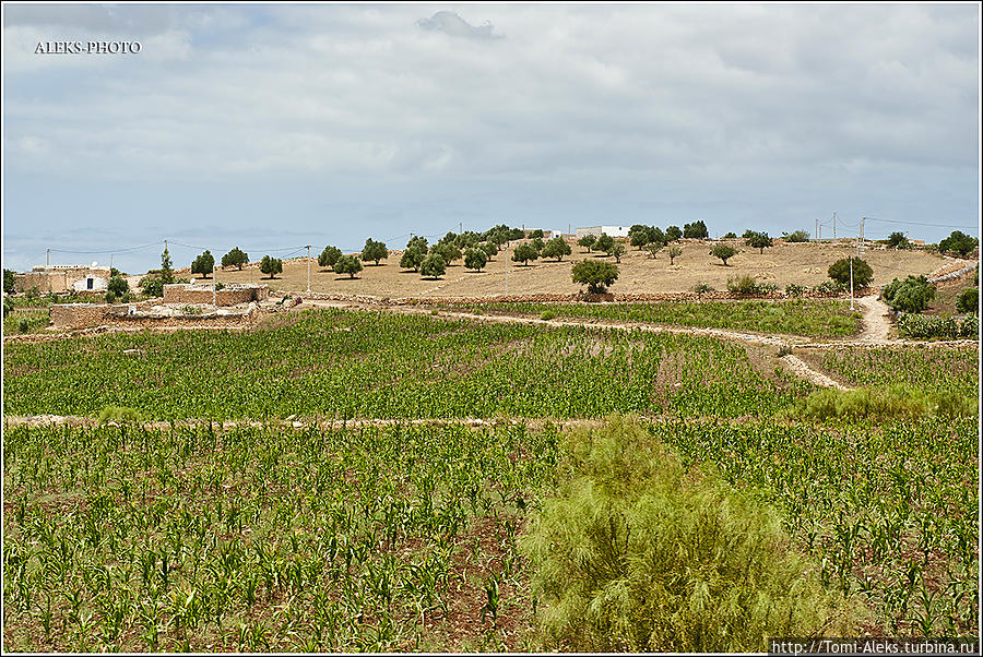 За окном мелькают поля и луга...
* Сафи, Марокко