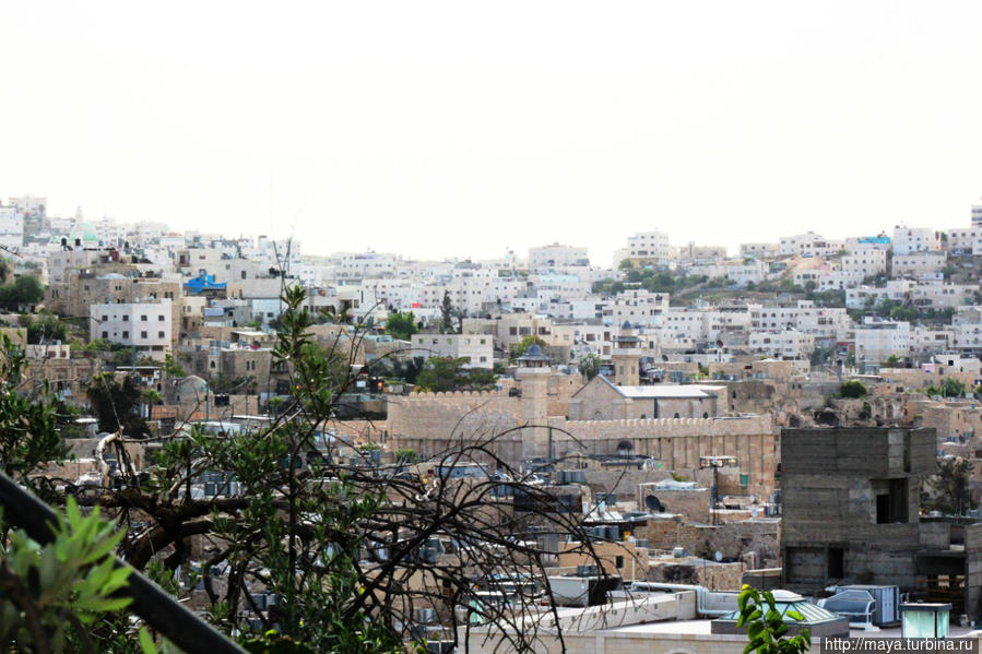 Взгляд сверху на Хеврон и Махпелу Хеврон, Палестина
