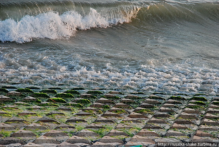 Вот так выглядит берег ок Вот так выглядит берег ок