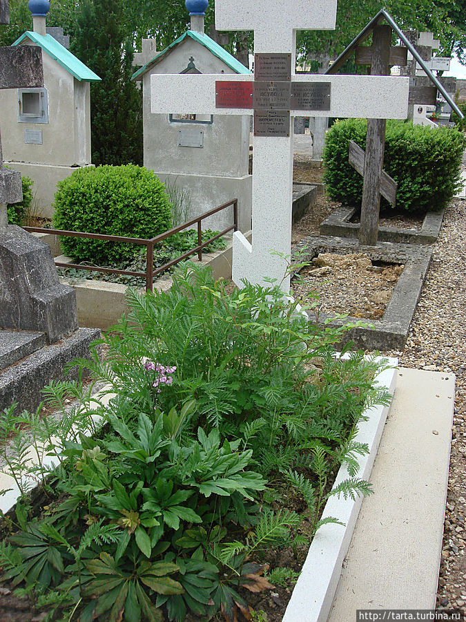 Могилы русских ухожены и оплачены Могилы русских ухожены и оплачены