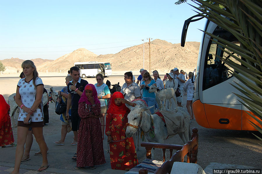 Местный девичий колорит Провинция Луксор, Египет