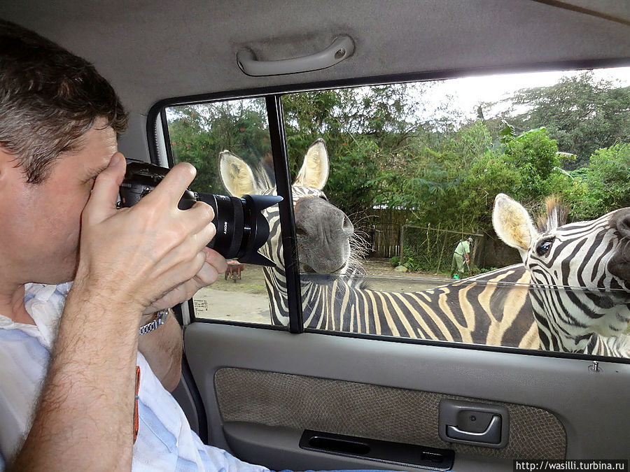 Рай для фотографов... Рай для фотографов...