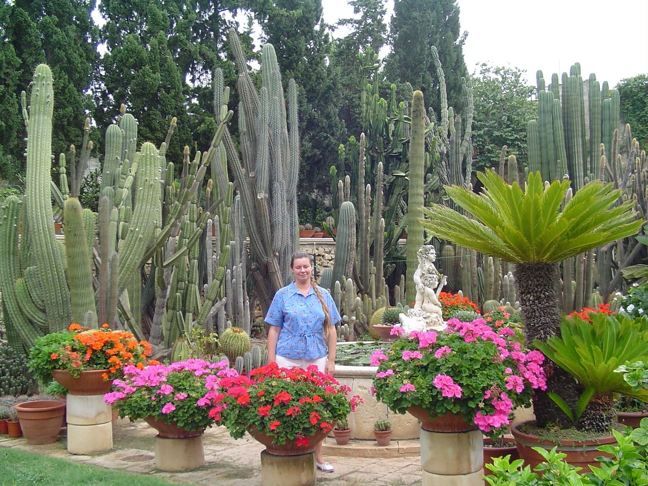 Парк кактусов (Дерек садовый центр) Орми, Мальта