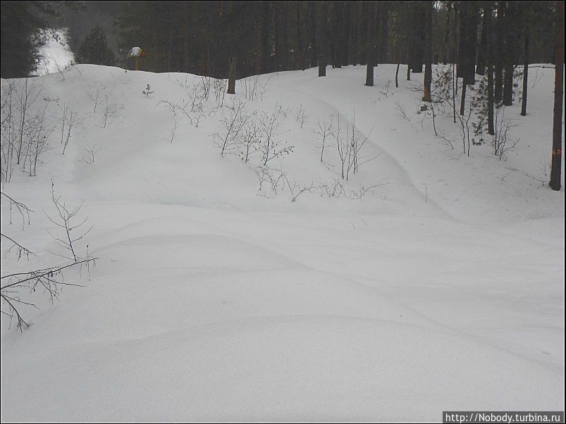 Зимняя Эльба в Ижицах. Зачем? Валдай, Россия