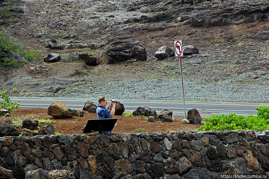 и таких вот и таких вот