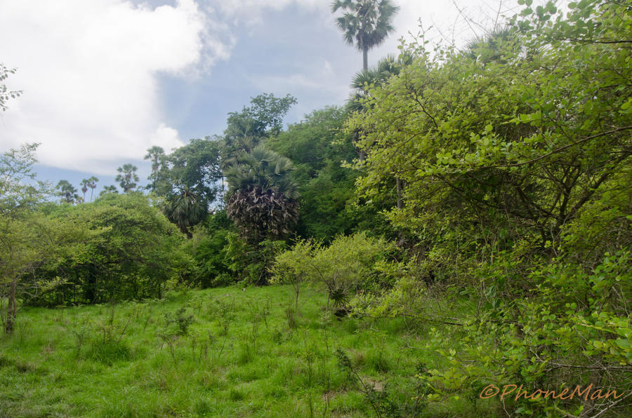 Индонезия. Остров Ринча Остров Ринка, Индонезия Индонезия. Остров Ринча Остров Ринка, Индонезия