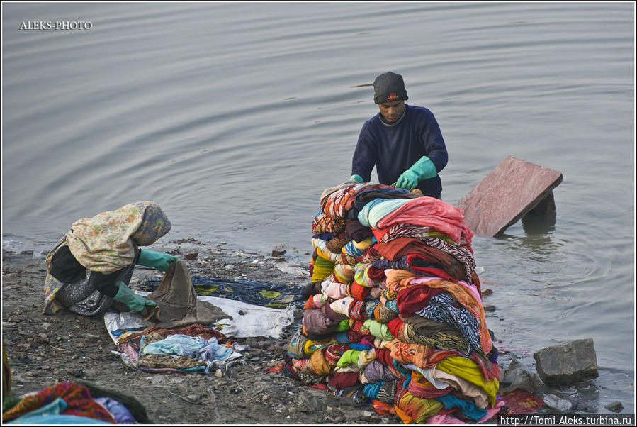 Большая стирка в реке Ямуна (Индийские Приключения ч50) Агра, Индия
