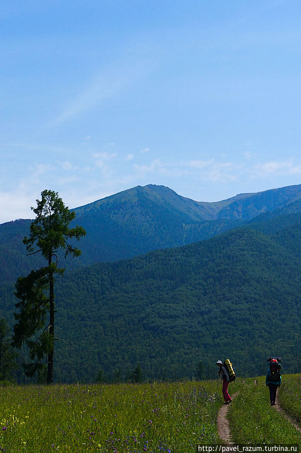 Путники Путники