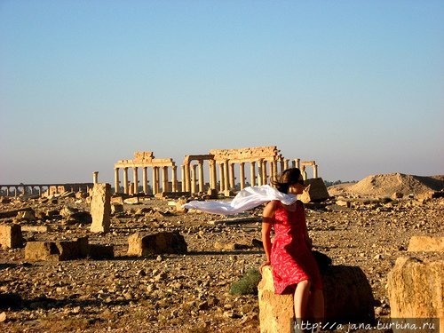 Пальмира 2008 год Сирия