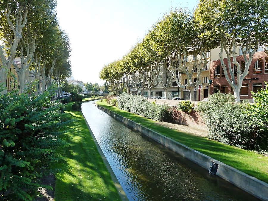 Аллея у притока реки Тет Аллея у притока реки Тет