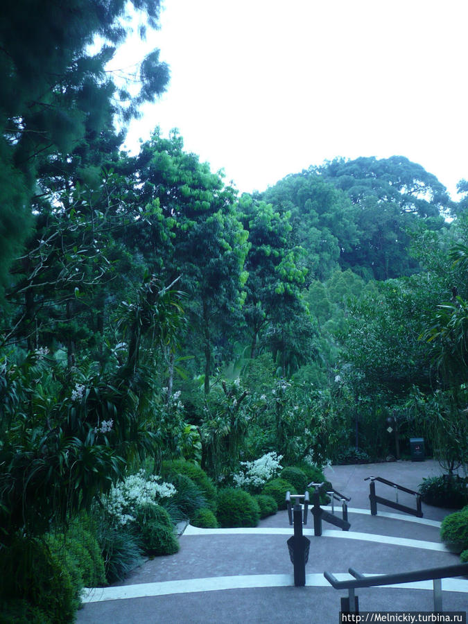 Ботанический сад Сингапур (город-государство)