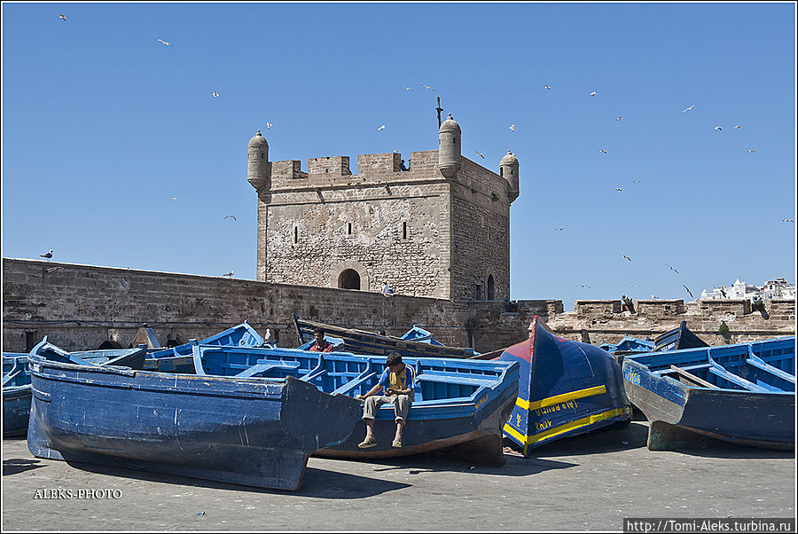 Скала дю Пор & Скала де ла Виль (Марокканский Вояж ч10) Эссуэйра, Марокко