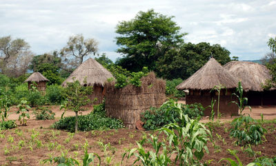 Замбийская деревня