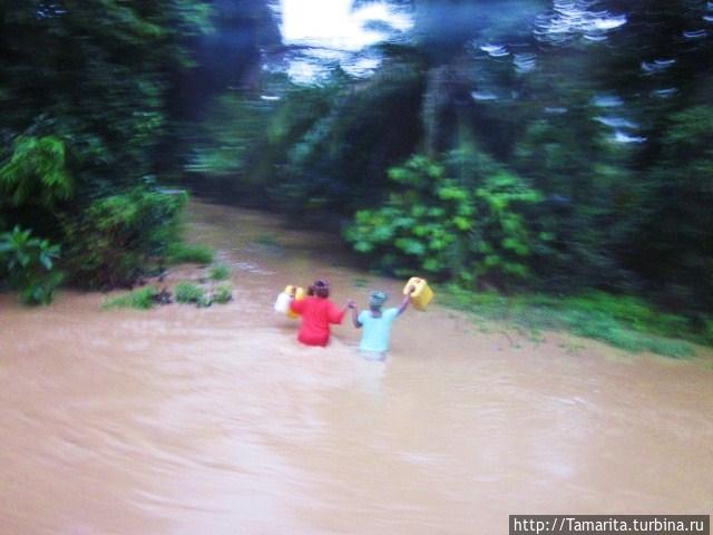 Иду одна по Африке. Наводнение в джунглях Матемве, Танзания