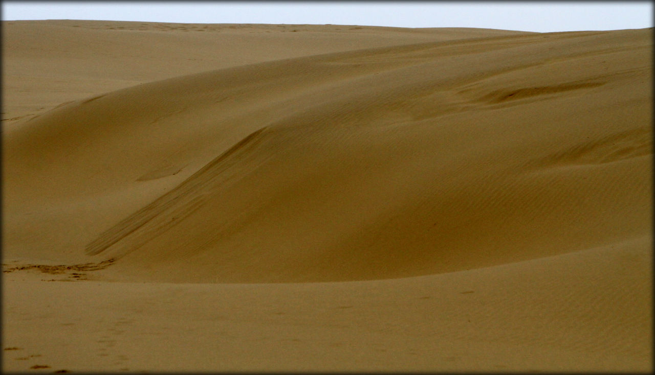 Осколок азиатской пустыни или самая высокая дюна Европы Бархан Сарыкум, Россия