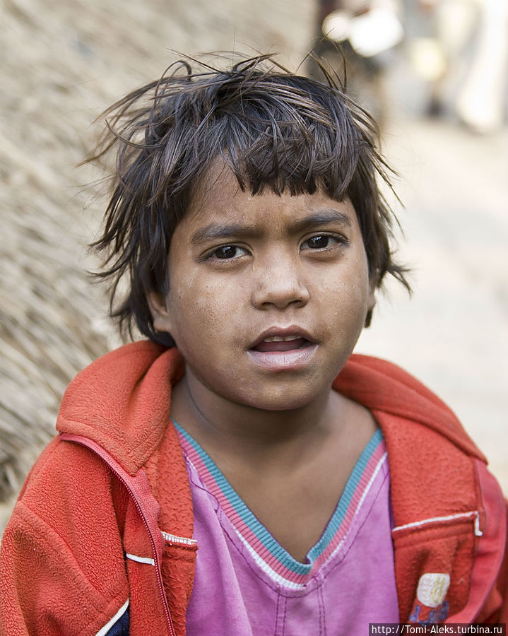 Вглядитесь в глаза этого сонного ребенка из Агры. Как вы думаете, чего он в первую очередь ждет от меня? В этом городе по берегам еще одной священной реки Ямуны живут в шалашах тысячи людей низших каст. Они питаются, где придется и стирают белье в реке (об этом я еще расскажу)...
* Вглядитесь в глаза этого сонного ребенка из Агры. Как вы думаете, чего он в первую очередь ждет от меня? В этом городе по берегам еще одной священной реки Ямуны живут в шалашах тысячи людей низших каст. Они питаются, где придется и стирают белье в реке (об этом я еще расскажу)...
*