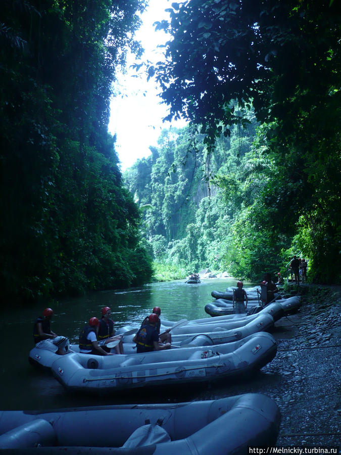 Река Аюнг Убуд, Индонезия