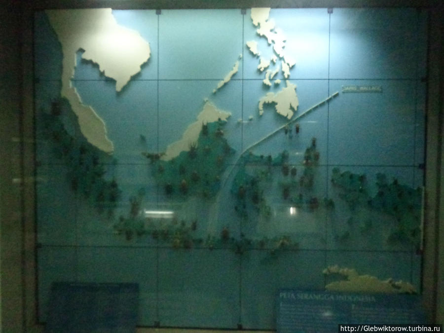 Музей насекомых Джакарта, Индонезия