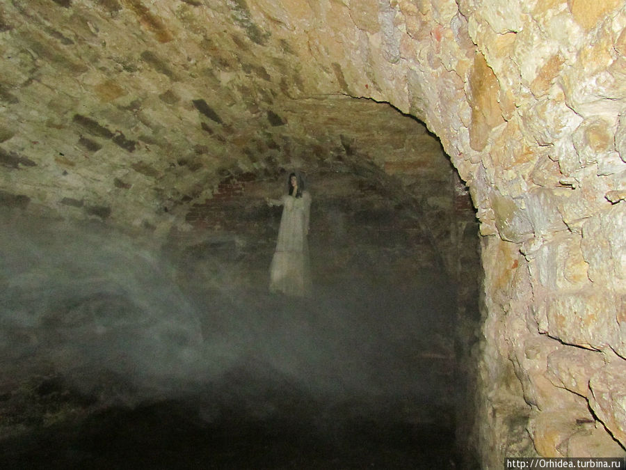Привидение и алхимия, тайны подземелий Подгородецкого замка Подгорцы (Бродовский район), Украина