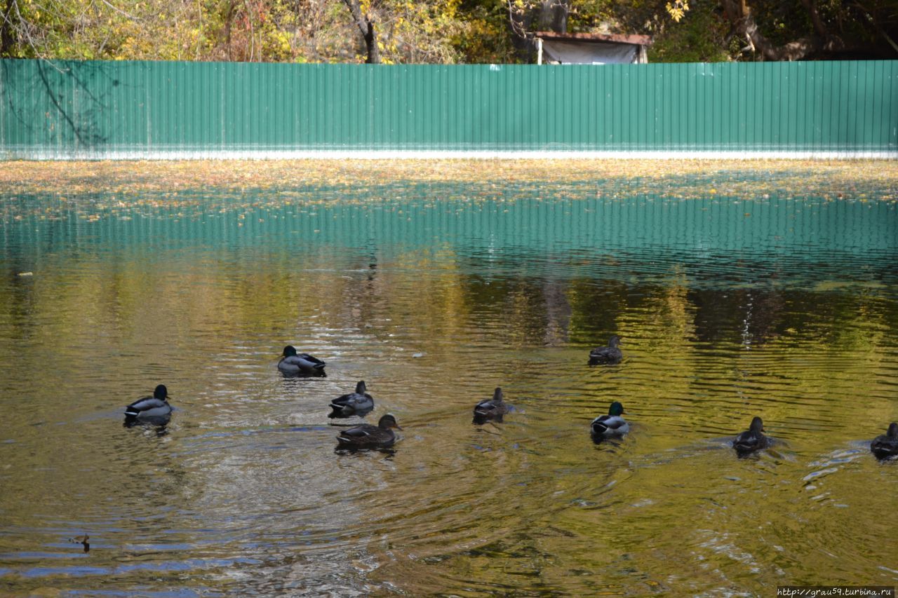 Городской парк культуры и отдыха Городской парк культуры и отдыха
