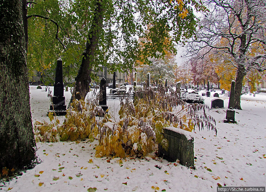 Древнее кладбище у собора Нидаросс, более похожее на парк Тронхейм, Норвегия