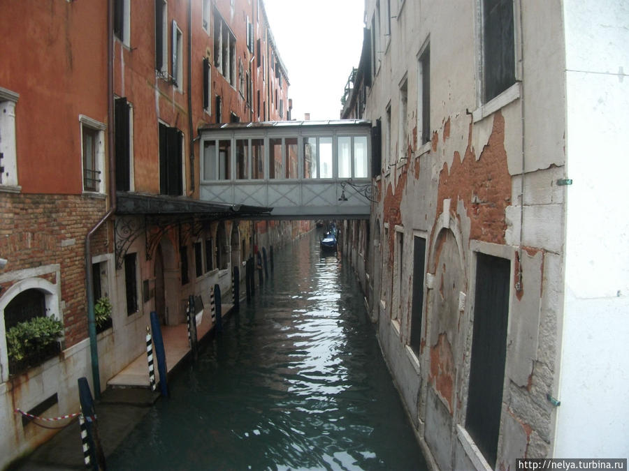 Венеция. Вода, кругом вода Венеция, Италия