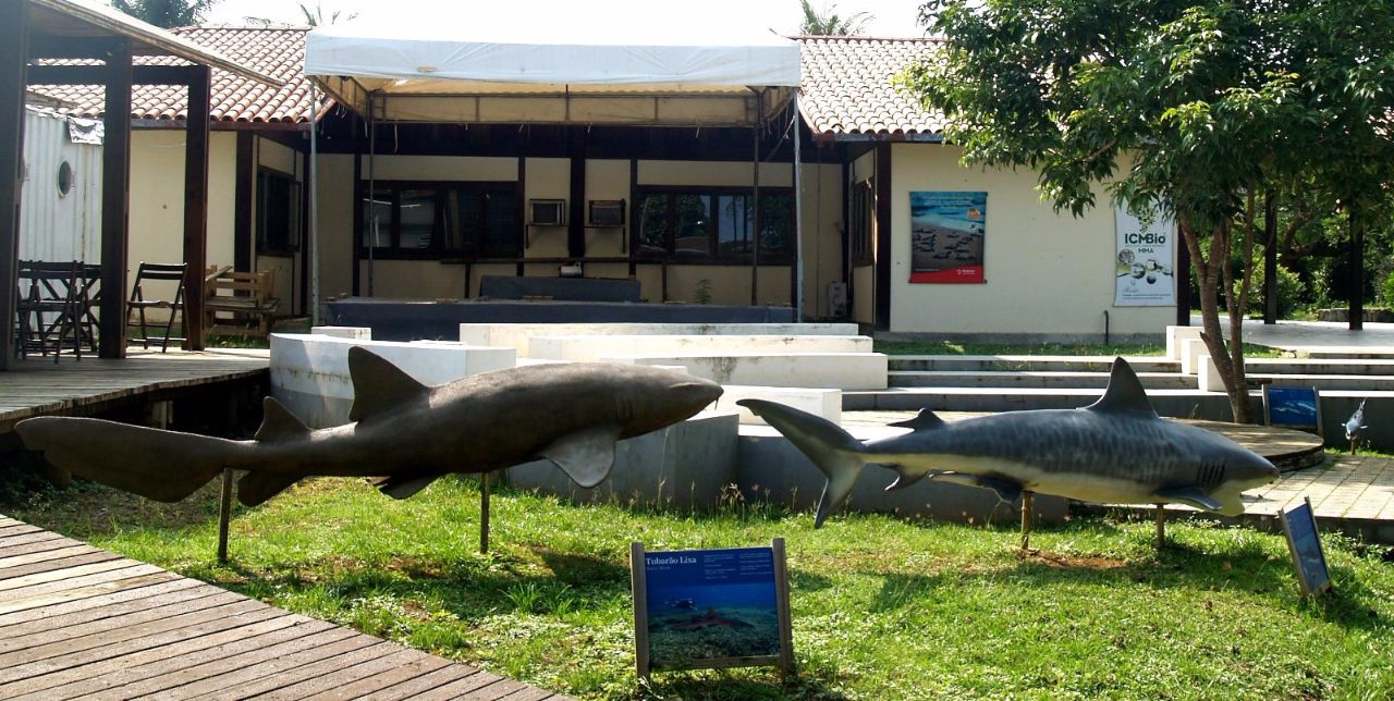 Музей природоохранного проекта 